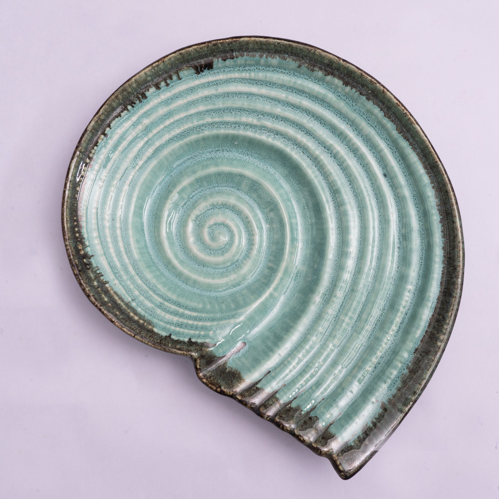 Decokrafts Blue Sea Shell Serving Shell Platter